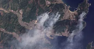 চার দিন ধরে পুড়ছে জাপানের উত্তরাঞ্চল; উজাড় হয়েছে ১২ হাজার হেক্টর বনভূমি